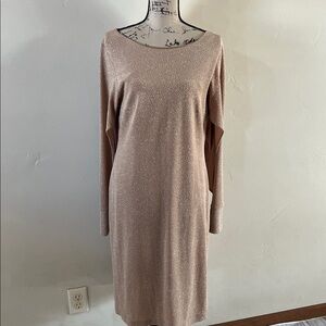 Calvin Klein Shimmer Long Sleeve Dress